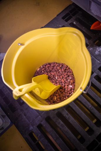 5667 Ručná lopatka detekovateľná 2 l