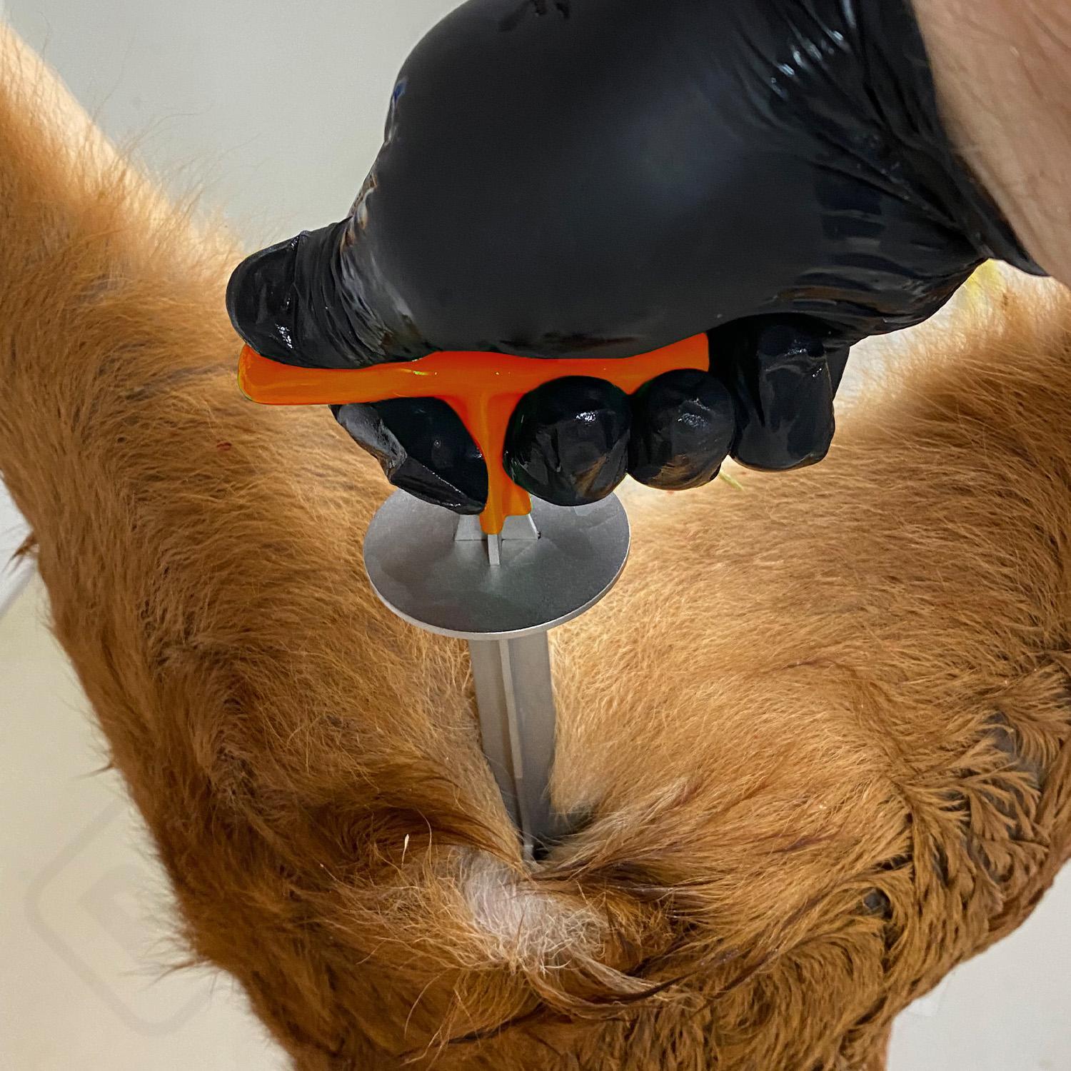 Nástroj na vyvrhovanie zveri